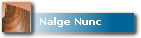 Nalge Nunc