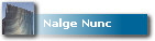 Nalge Nunc